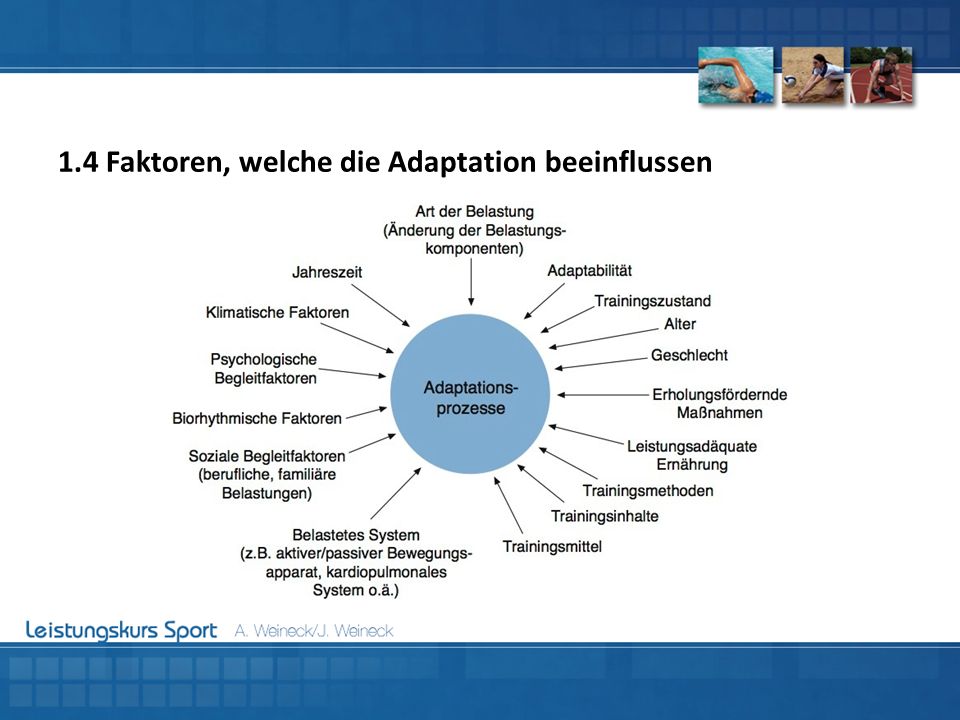 Die Potenz nach des Männerklimakteriums